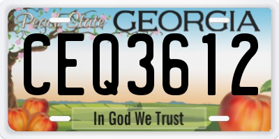 GA license plate CEQ3612