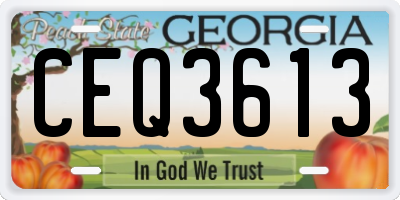 GA license plate CEQ3613