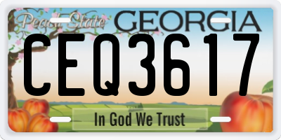 GA license plate CEQ3617