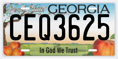 GA license plate CEQ3625