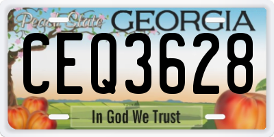 GA license plate CEQ3628