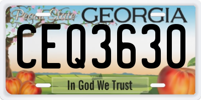 GA license plate CEQ3630