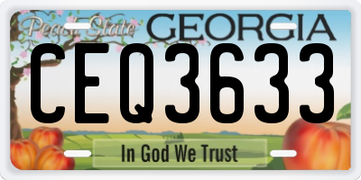GA license plate CEQ3633
