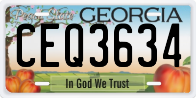 GA license plate CEQ3634