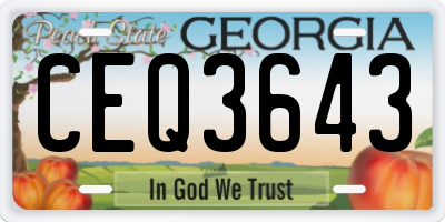 GA license plate CEQ3643