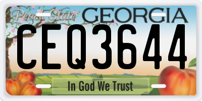 GA license plate CEQ3644