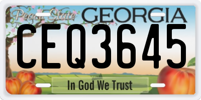 GA license plate CEQ3645