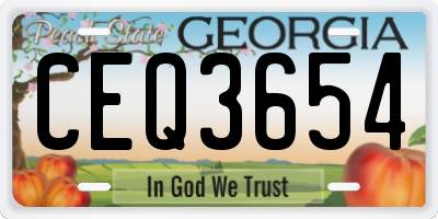 GA license plate CEQ3654