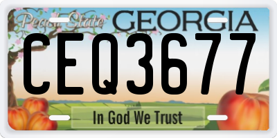 GA license plate CEQ3677