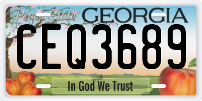 GA license plate CEQ3689