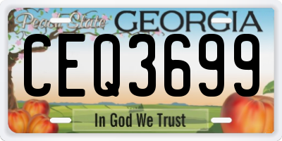 GA license plate CEQ3699