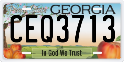 GA license plate CEQ3713