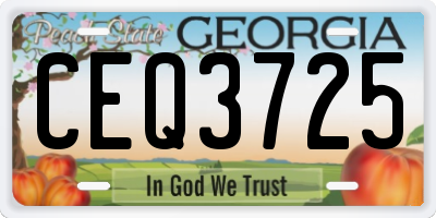 GA license plate CEQ3725