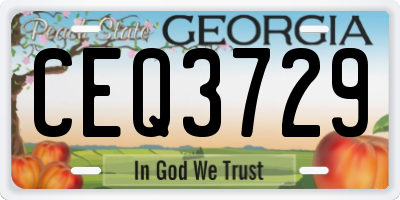 GA license plate CEQ3729