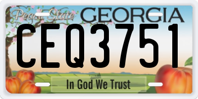 GA license plate CEQ3751