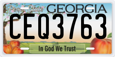 GA license plate CEQ3763
