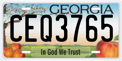 GA license plate CEQ3765