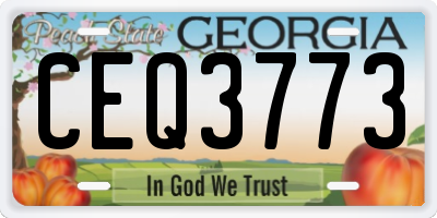 GA license plate CEQ3773