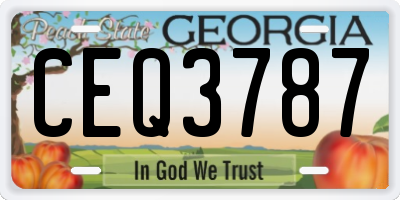 GA license plate CEQ3787