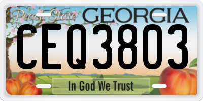 GA license plate CEQ3803