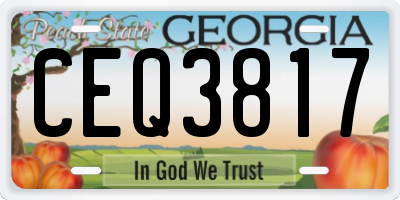 GA license plate CEQ3817