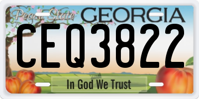 GA license plate CEQ3822