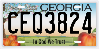 GA license plate CEQ3824