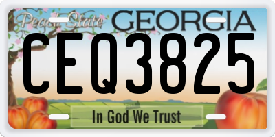 GA license plate CEQ3825
