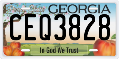GA license plate CEQ3828