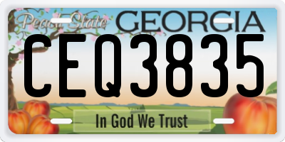 GA license plate CEQ3835