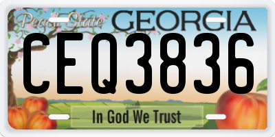 GA license plate CEQ3836