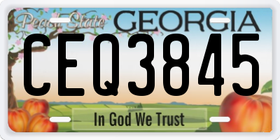 GA license plate CEQ3845
