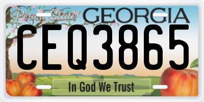 GA license plate CEQ3865