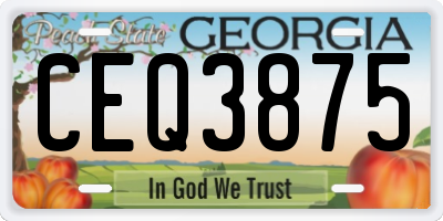 GA license plate CEQ3875