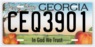 GA license plate CEQ3901