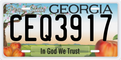 GA license plate CEQ3917