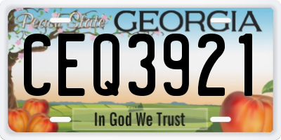 GA license plate CEQ3921