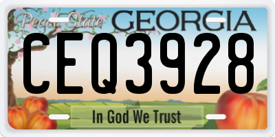 GA license plate CEQ3928