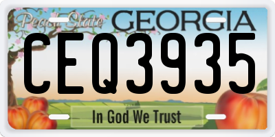 GA license plate CEQ3935