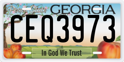 GA license plate CEQ3973