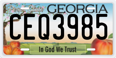 GA license plate CEQ3985