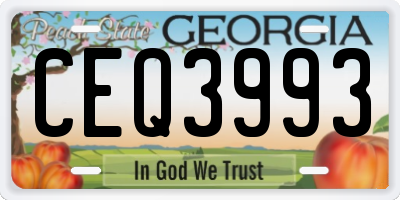 GA license plate CEQ3993