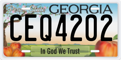 GA license plate CEQ4202