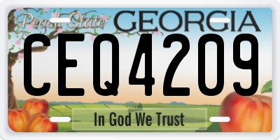 GA license plate CEQ4209