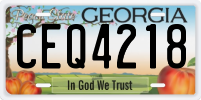 GA license plate CEQ4218
