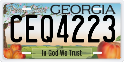 GA license plate CEQ4223