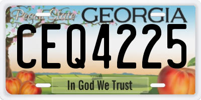 GA license plate CEQ4225