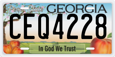 GA license plate CEQ4228