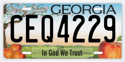GA license plate CEQ4229