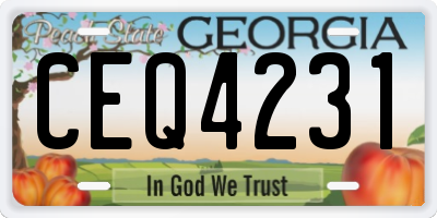GA license plate CEQ4231